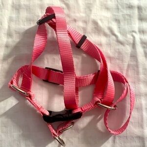 NWOT Small Dog Harness